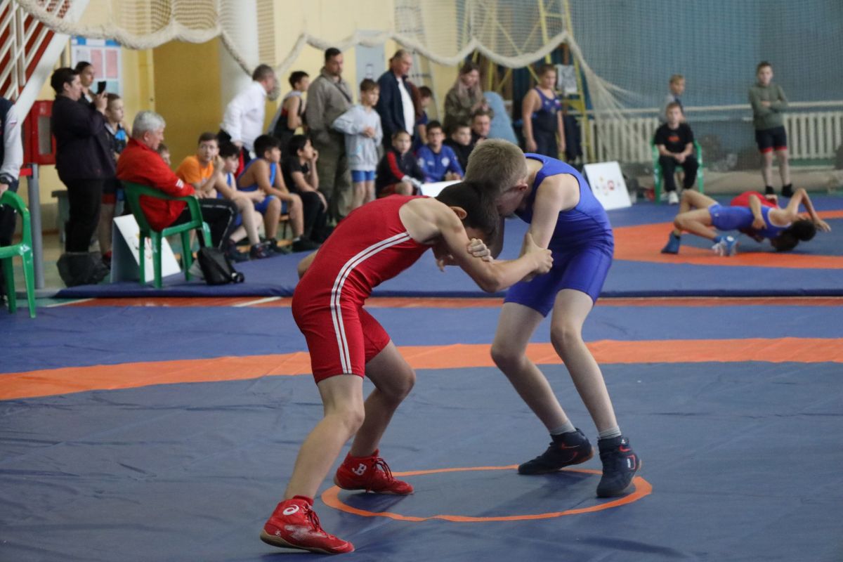 Спортивная борьба